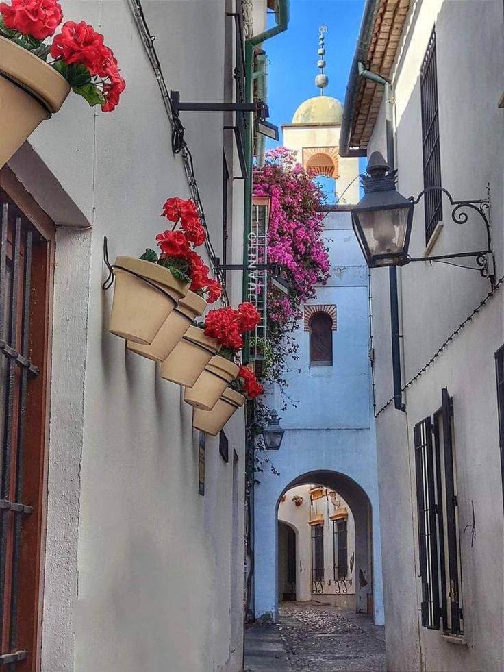 Precioso Loft El Arcangel Junto A La Ribera Córdoba Kültér fotó